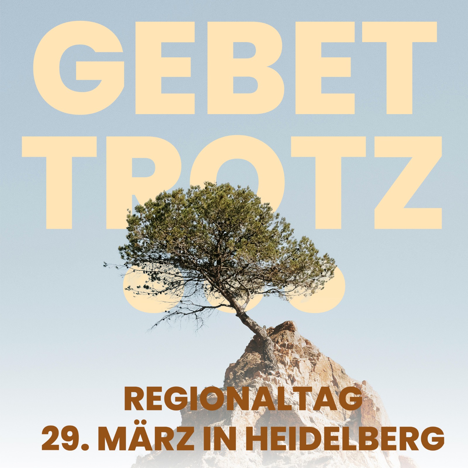 Baum auf Fels, der widrigen Umständen trotzt